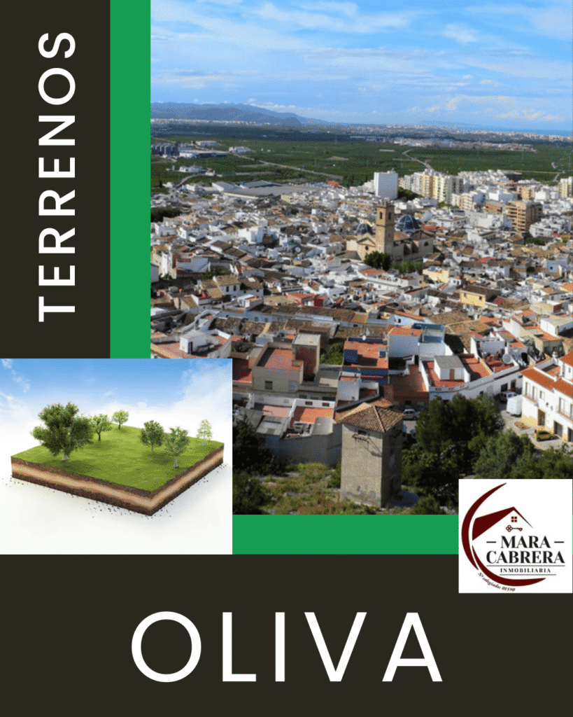 Terrenos agrarios y urbanos en Oliva