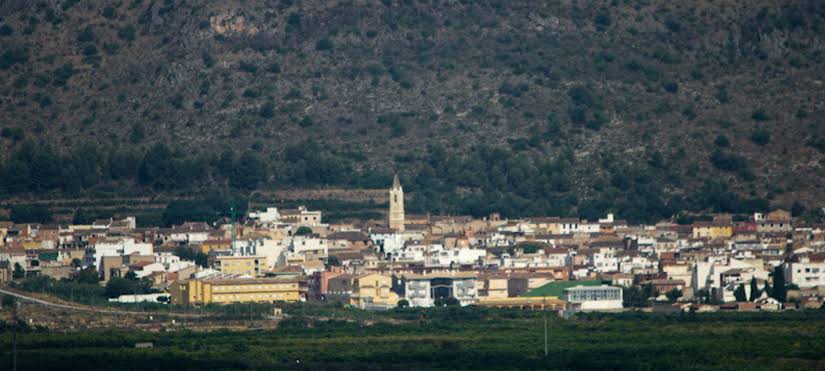 Campos de naranjos y paisaje rural en Palma de Gandia